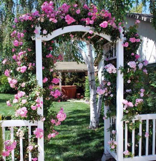 как самому сделать красивую арку из роз